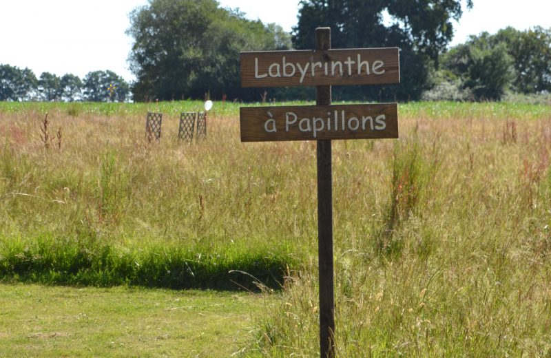 Labyrinthe papillons