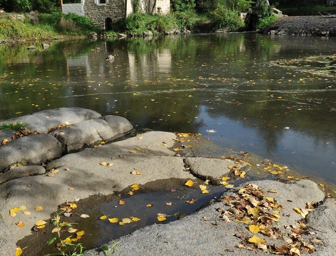 peche-moulin-le-foulon-torfou-sevremoine-nantes-cholet-vendee-osezmauges