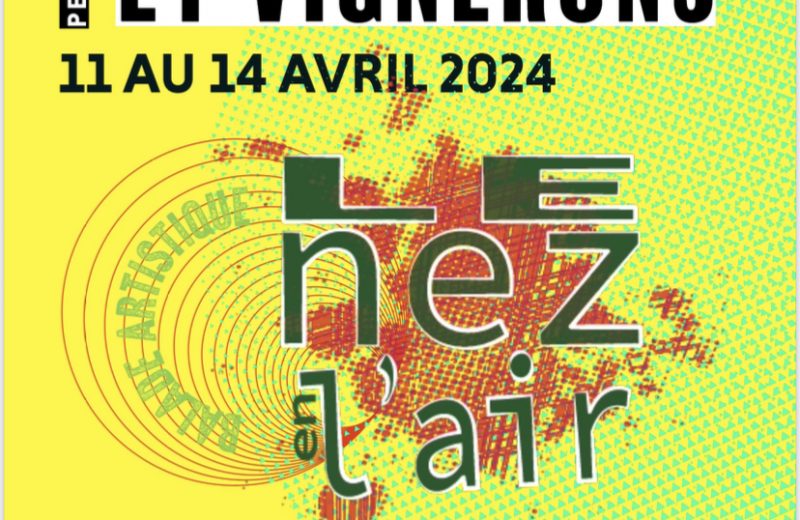 le nez en l air 2024 le vignobledenantes tourisme