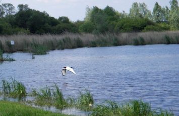 LES MARAIS DE GOULAINE