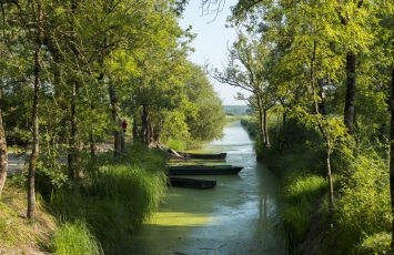 marais de goulaine
