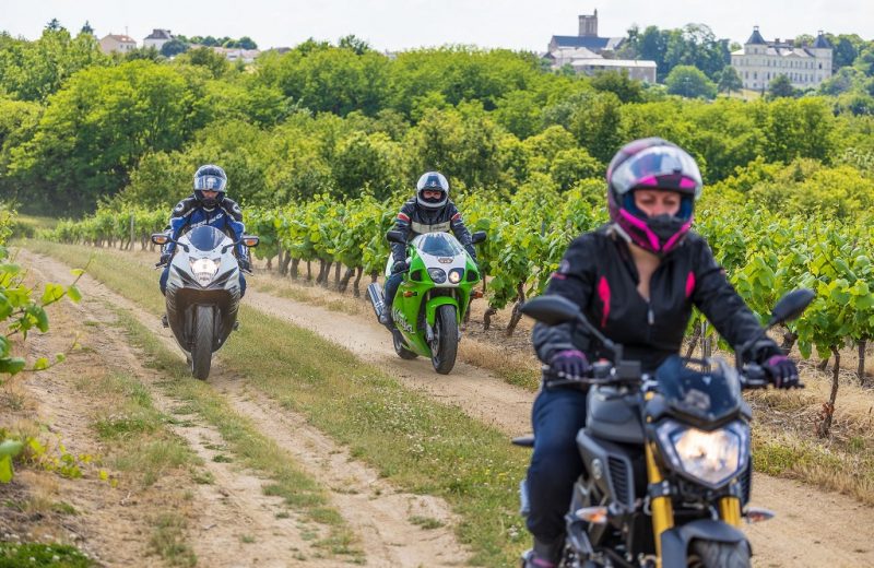 motos-vignes-route-vins-osezmauges-anjou-©D.Drouet-_Z6A3978