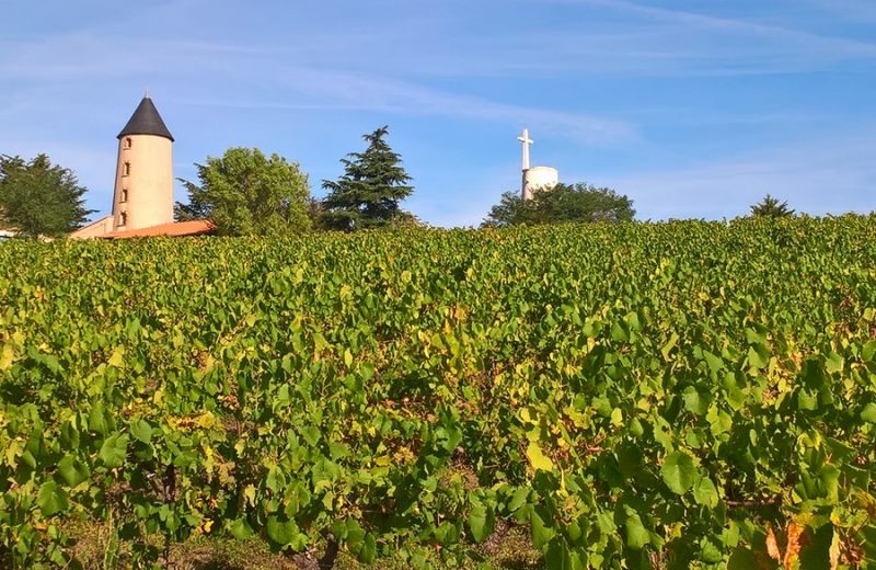 moulin-et-vignes–circuitdeshorizons-lelorouxbottereau-44-levignobledenantes-2