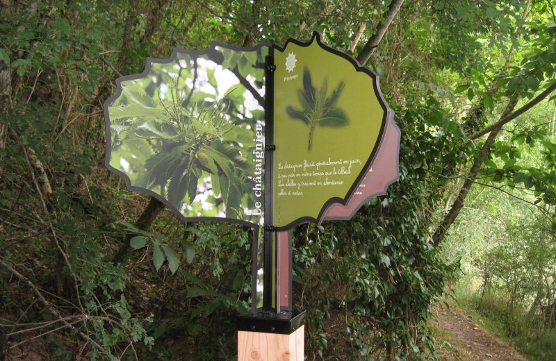 murmures-rochers-arbres-palabres-levignobledenantes-tourisme (8)