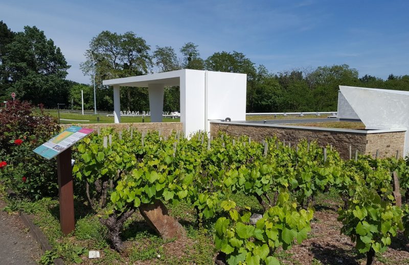 musee du vignoble