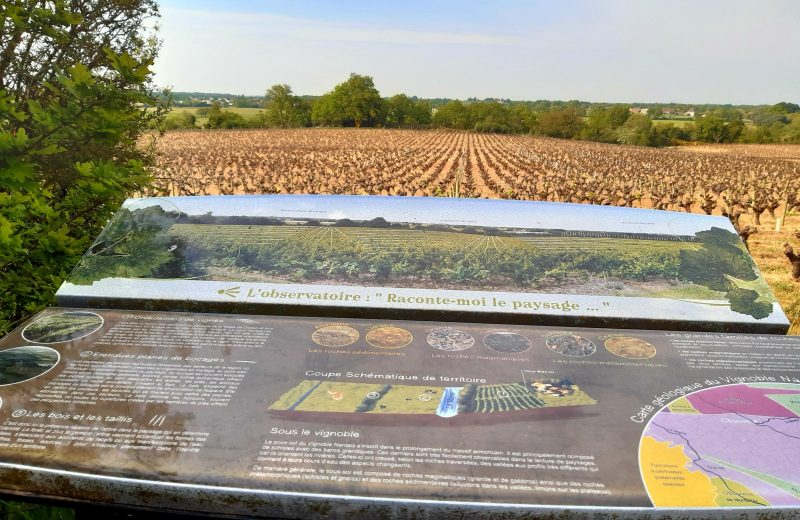 Grp de sevre et maine boucle du vignoble