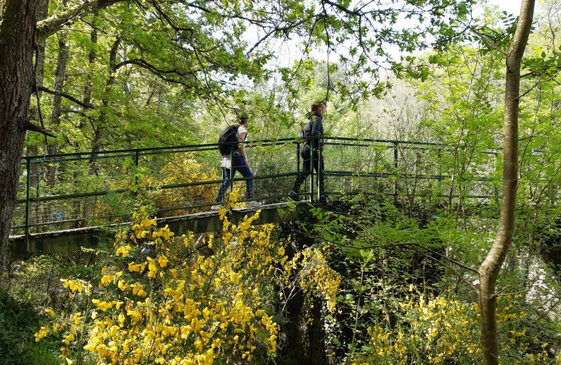 Passerelle Reuzard Boucle de la Maine