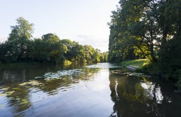 VALLEE DE LA SEVRE AU PALLET