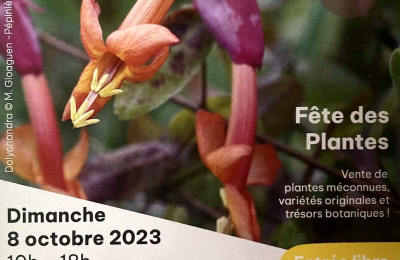 pepites botaniques rochefort 2023 la haye fousassiere