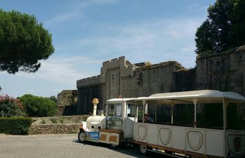 petit train 2018 le vignoble de nantes