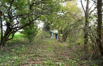 BOUCLE CIRCUIT DES LANDES