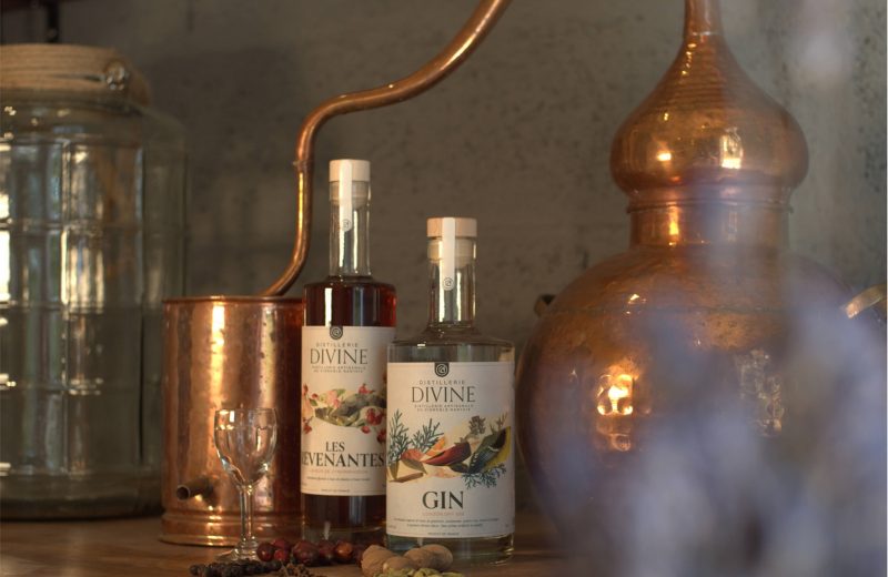photo-distilleriedivine2-levignobledenantes-tourisme
