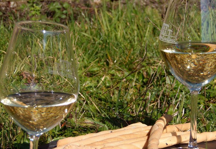 piqueniquelesfrerescouillaud-2024-levignobledenantes-tourisme