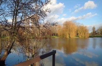 LE PLAN D’EAU DU CHENE