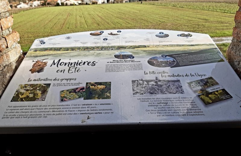 Point de vue au Moulin de la Minière à Monnières