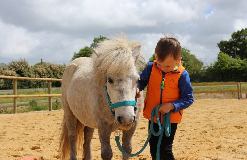 poney-vignes-en-selle-st-crespin-sur-moine-sevremoine-nantes-cholet-clisson