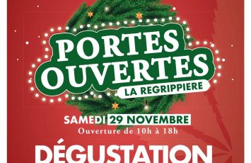 portes ouvertes brume