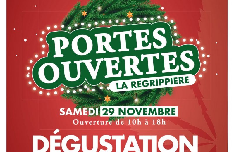 portes ouvertes brume