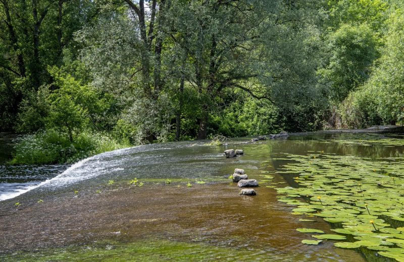 bena-balades-en-nature-accompagnée-sevremoine