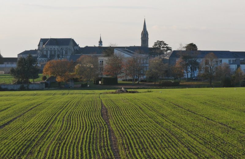 randonnée-torfou (4)