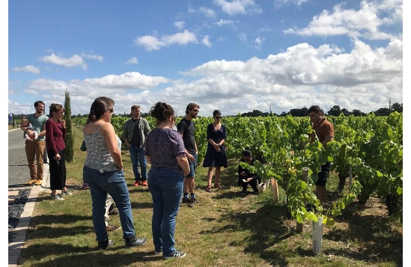 Domaine-Raphaël-Luneau-visite