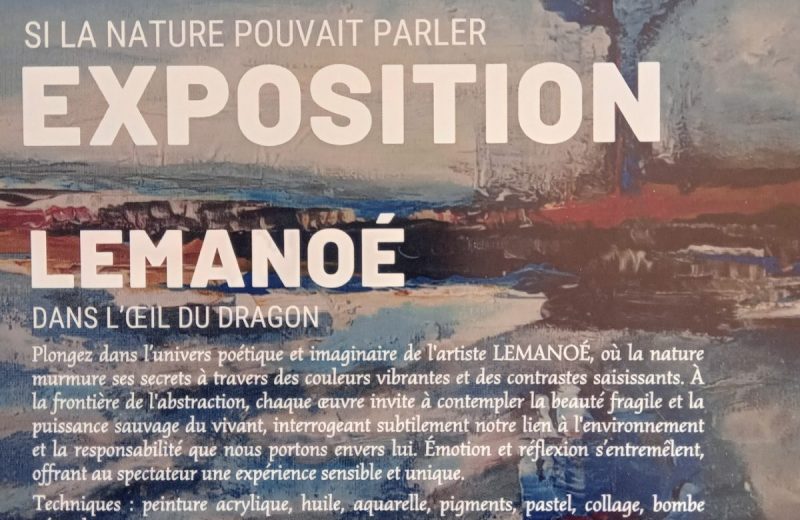 thumbnail_Expo Lemanoë Maison bleue