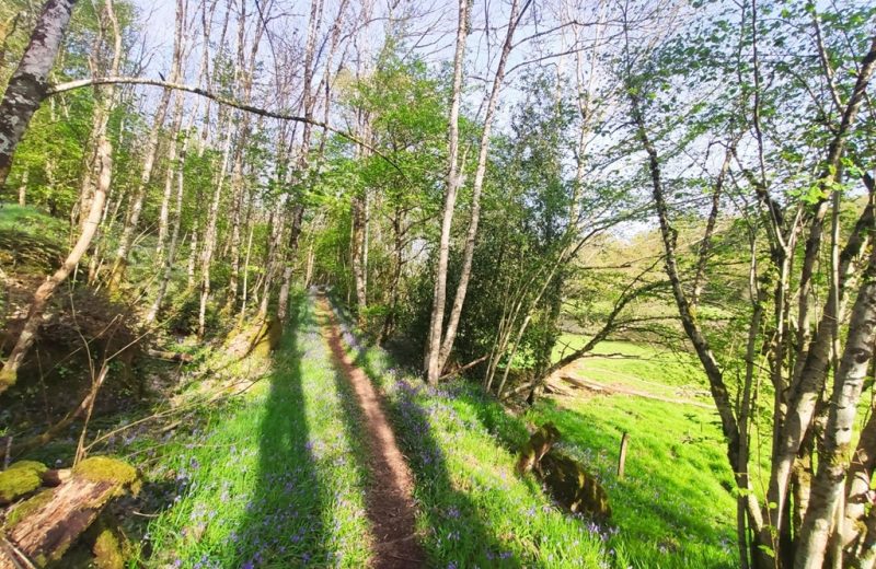trail-longeron-rando-nature-apel-1