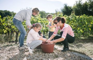 vendanges en famille