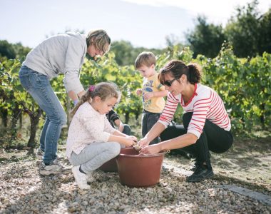 Participer aux vendanges 2025 : un week-end à ne pas rater dans le Vignoble Nantais 