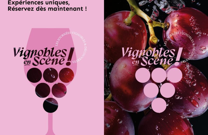 vignobles en scene 2025