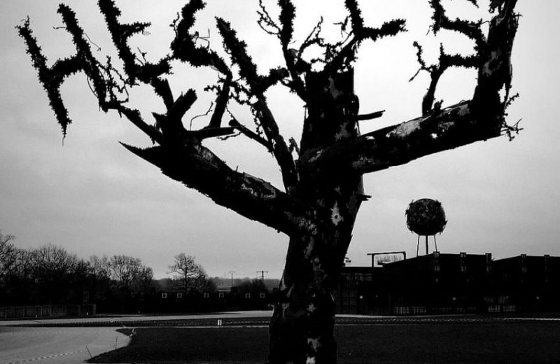 visite  nocturne du Hellfest