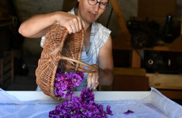 visite-jardin-d’herboriste_2025_Destination-vignoble-nantais